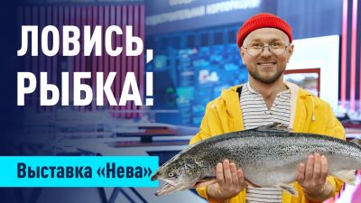 Будущее рыбной промышленности России