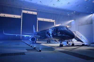 Как выполняется покраска самолётов?